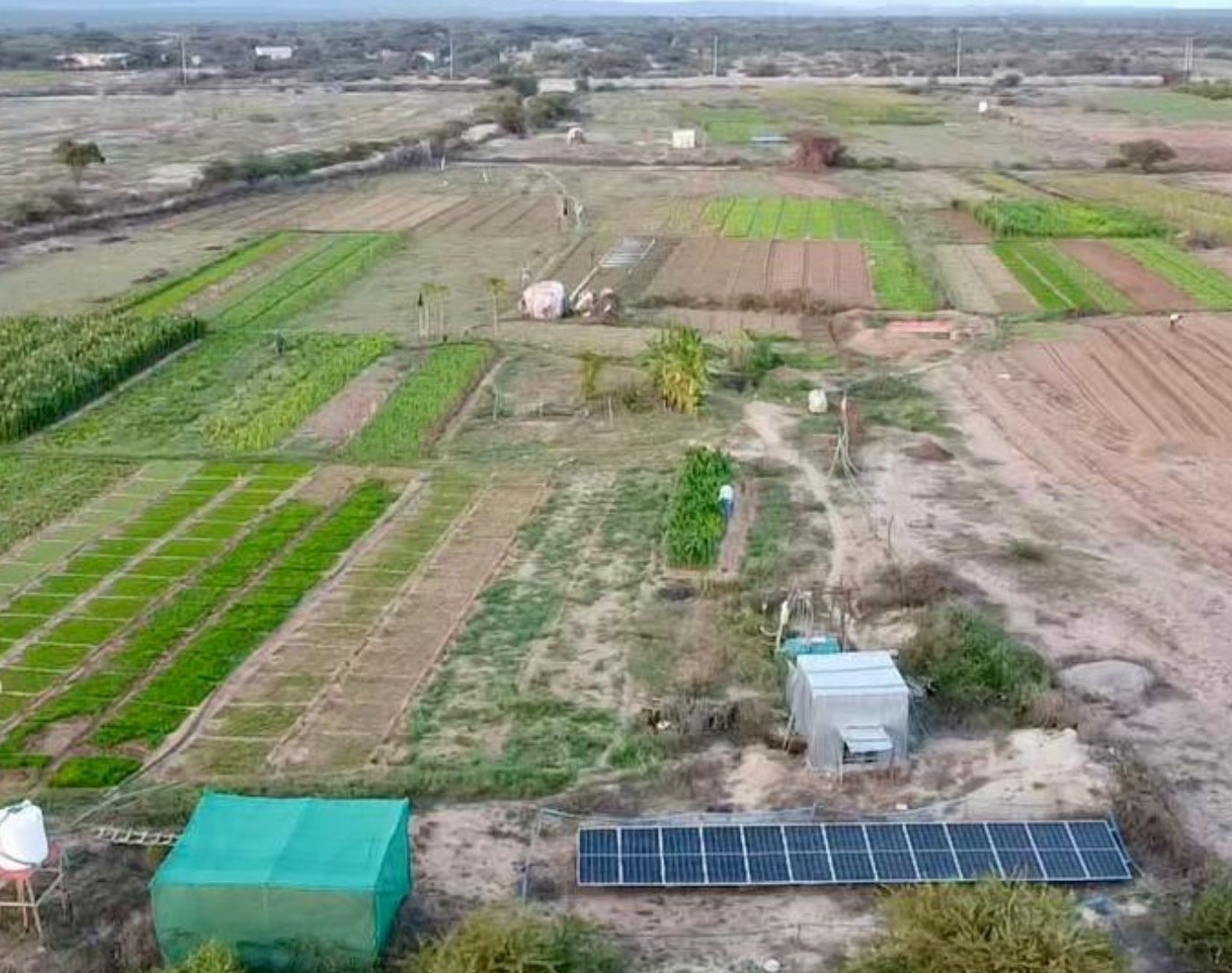 Solar pump system for agricultural farms